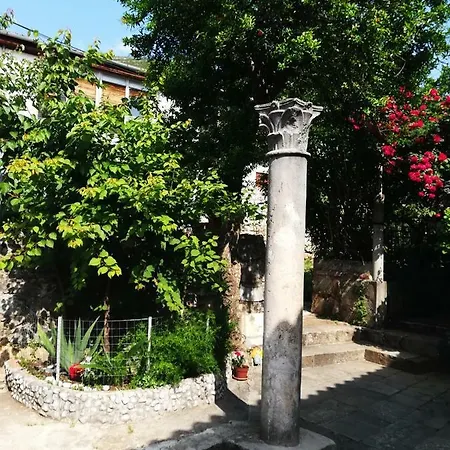 Sokol